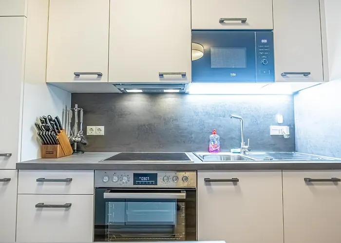 Charming 1Br And 1Lr Apt Modern Design Donaustadt